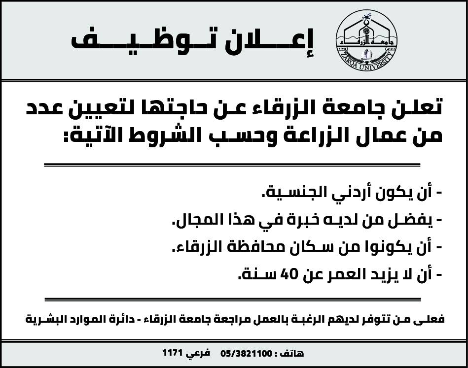  جامعة الزرقاء - اعلان توظيف